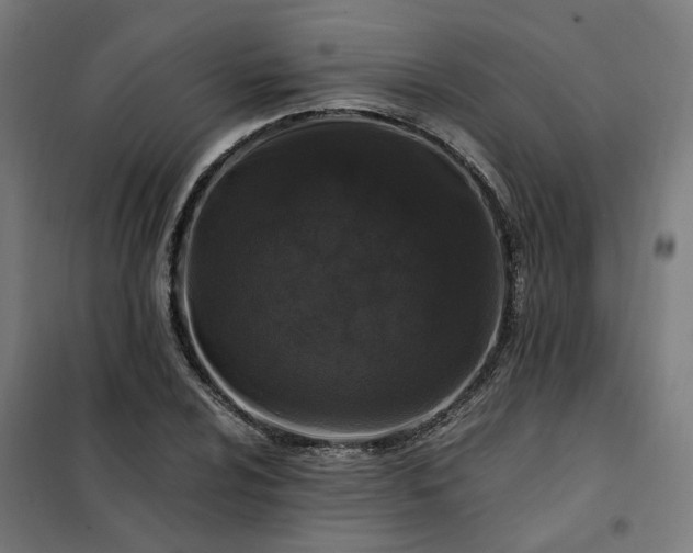 X0000101711024200807241451