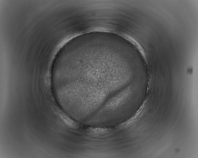 X0000101711027200807241451