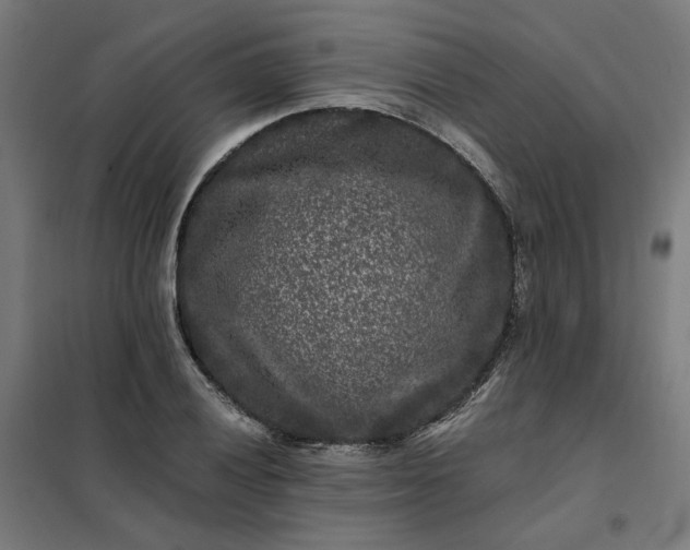 X0000101711028200807241451