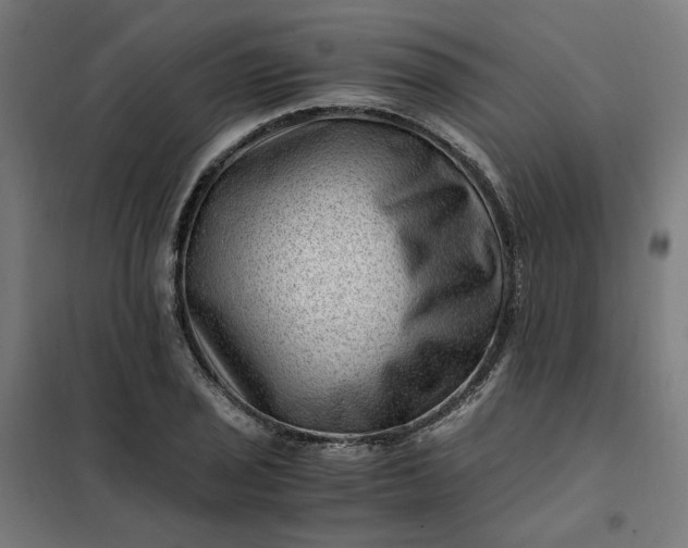 X0000101711029200807241451