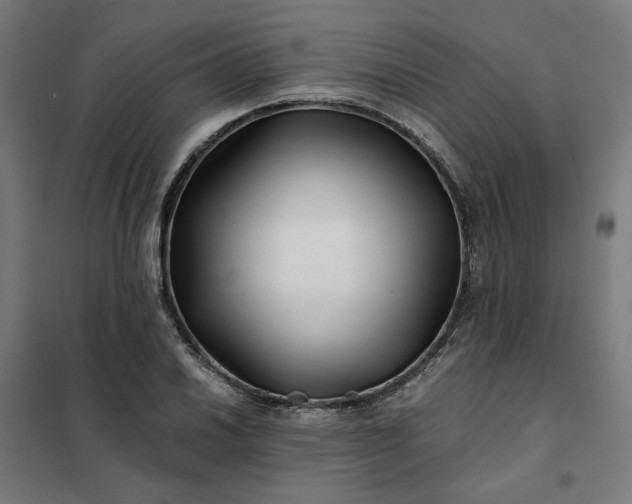 X0000101711030200807241451