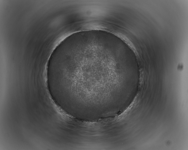 X0000101711031200807241451