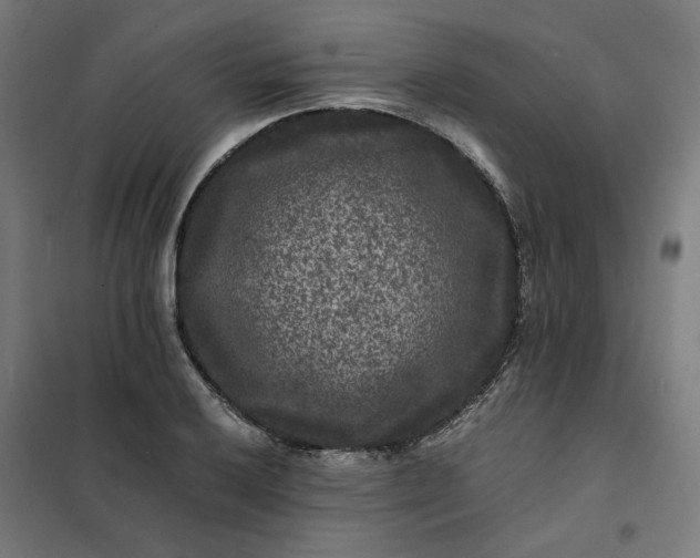 X0000101711032200807241451