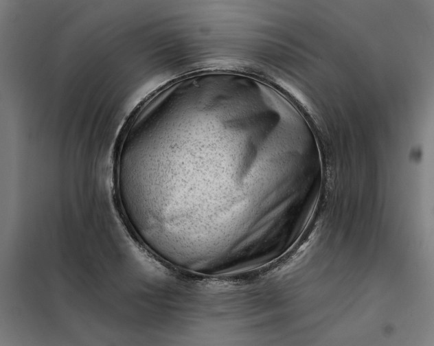 X0000101711034200807241451