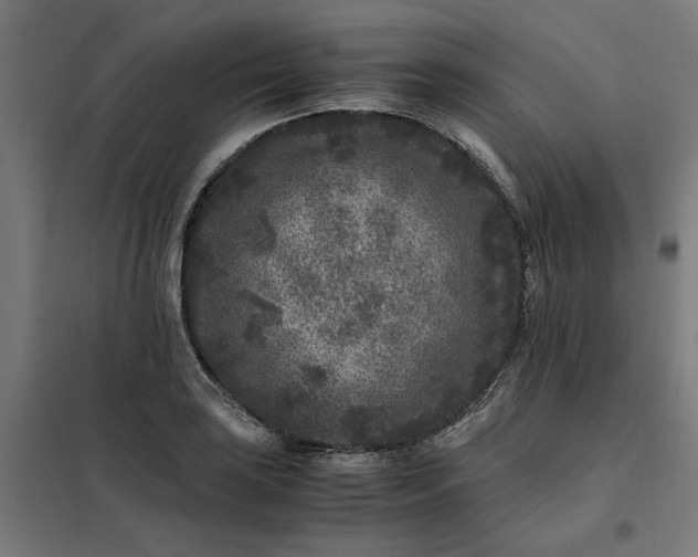 X0000101711035200807241451