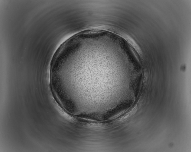 X0000101711036200807241451