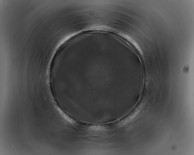 X0000101711037200807241451