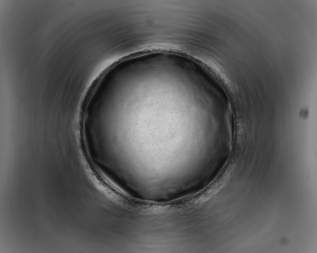 X0000101711038200807241451