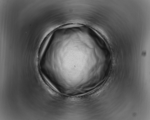 X0000101711040200807241451