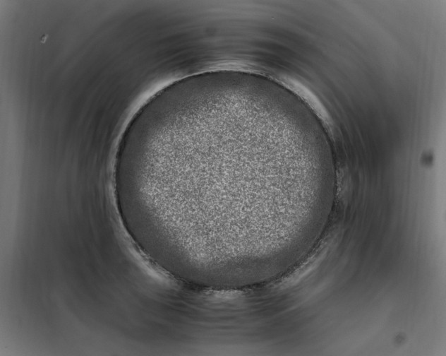 X0000101711043200807241451