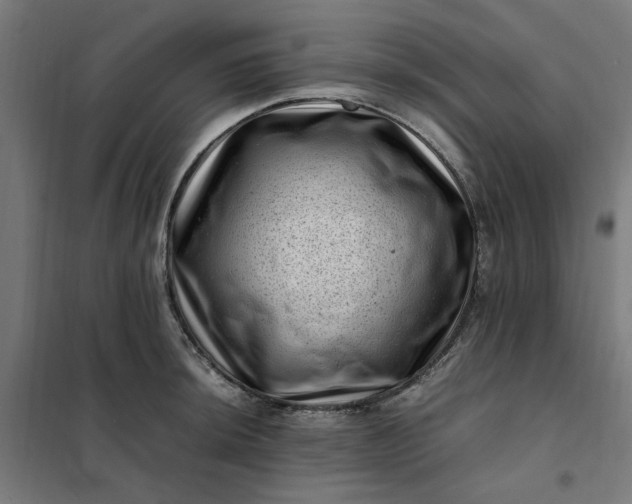 X0000101711044200807241451