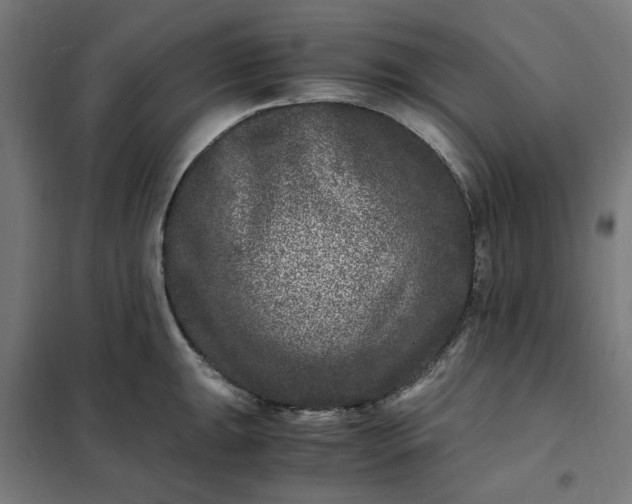 X0000101711047200807241451