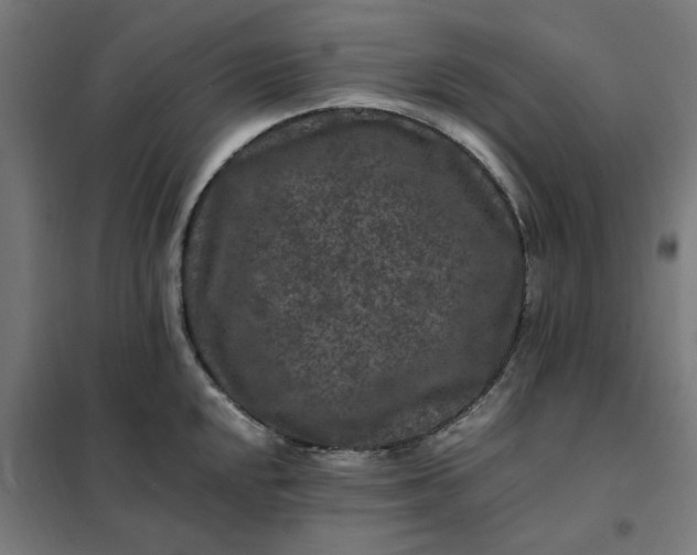 X0000101711048200807241451