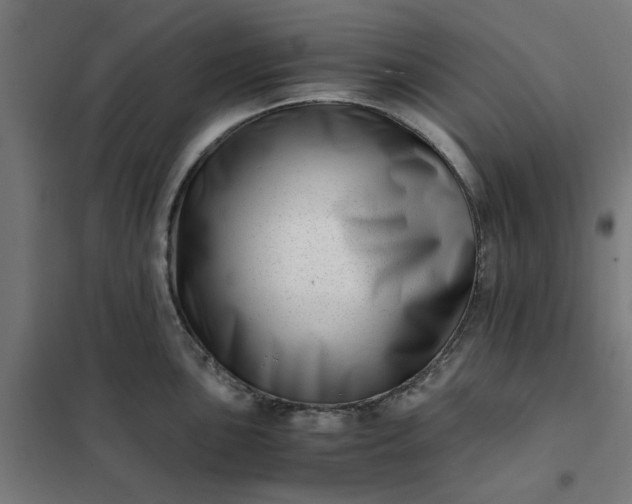 X0000101711051200807241451