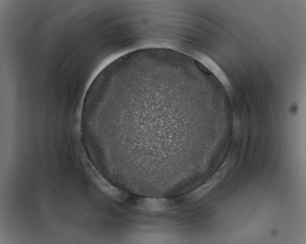 X0000101711052200807241451