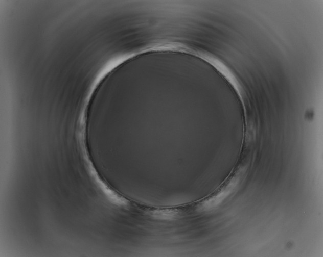 X0000101711053200807241451