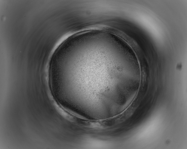 X0000101711054200807241451