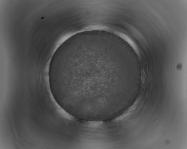 X0000101711055200807241451