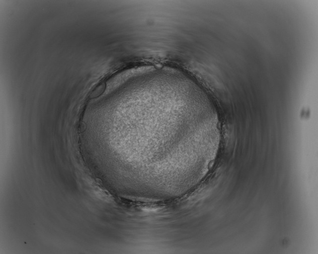 X0000101711057200807241450