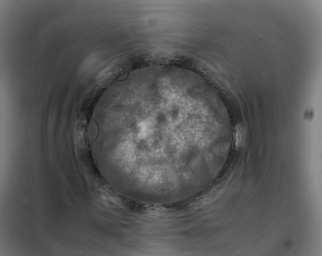 X0000101711059200807241450