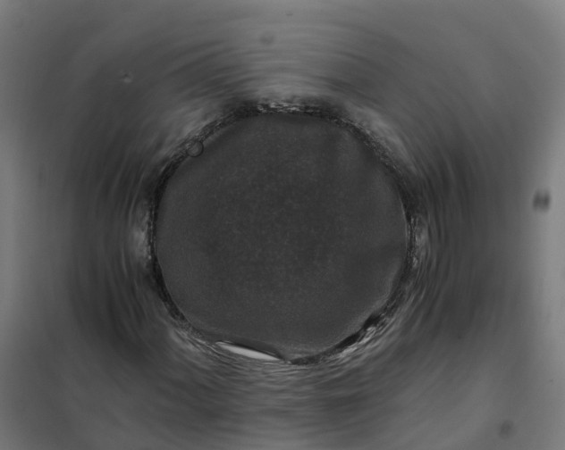 X0000101711060200807241450