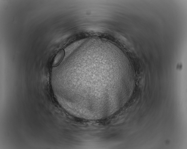 X0000101711061200807241450