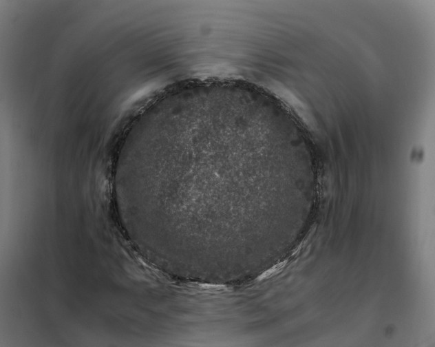 X0000101711063200807241450