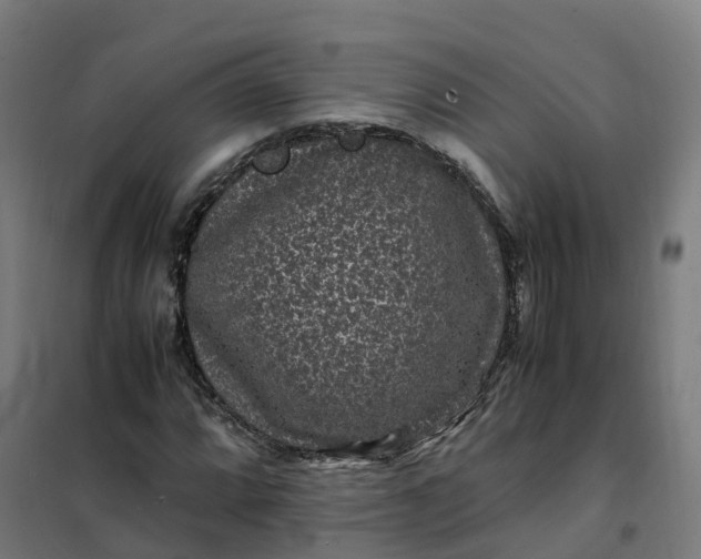 X0000101711064200807241450