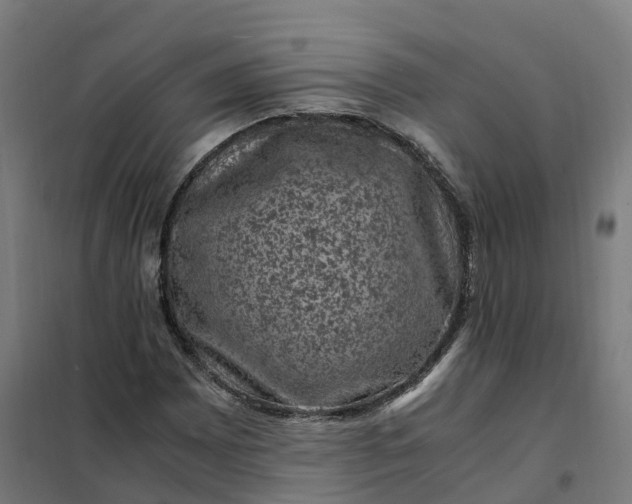 X0000101711065200807241450