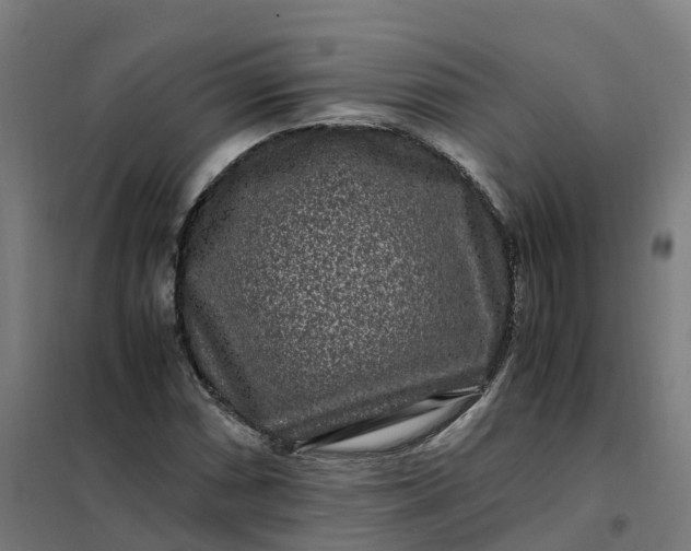 X0000101711066200807241450