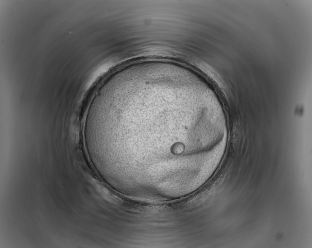 X0000101711067200807241450