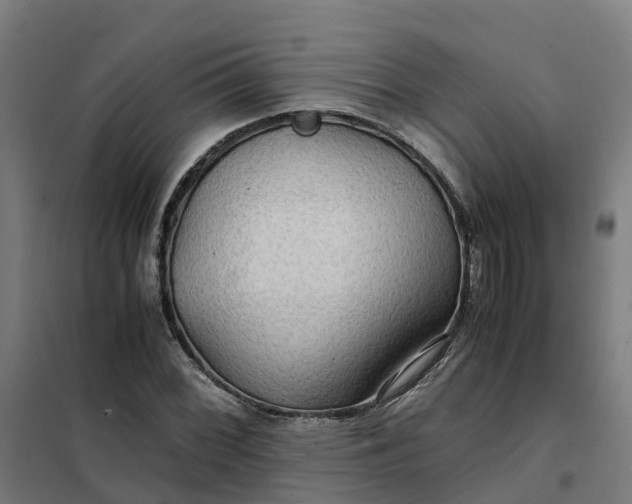 X0000101711068200807241450