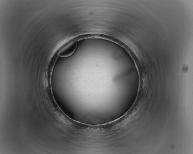 X0000101711069200807241450