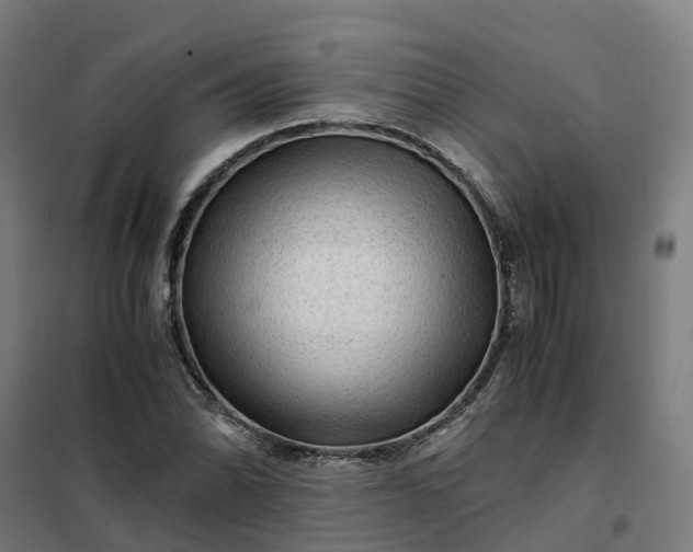 X0000101711070200807241450