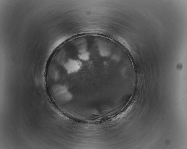 X0000101711071200807241450