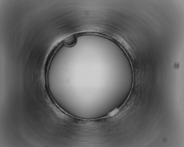 X0000101711072200807241450