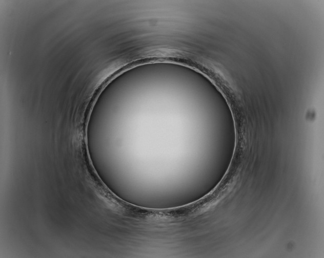 X0000101711073200807241450