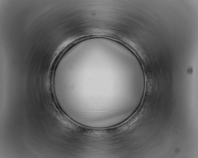 X0000101711074200807241450