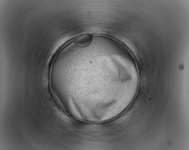 X0000101711075200807241450