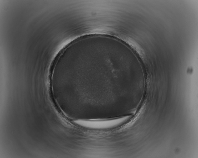 X0000101711077200807241450