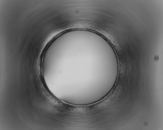 X0000101711078200807241450