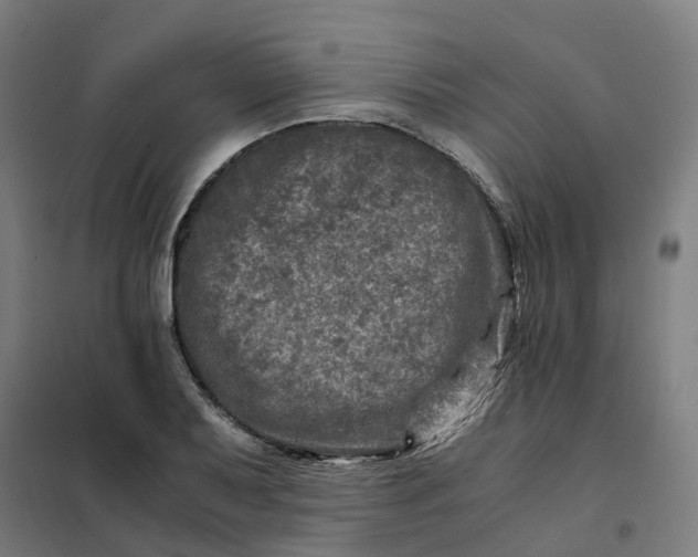 X0000101711079200807241450