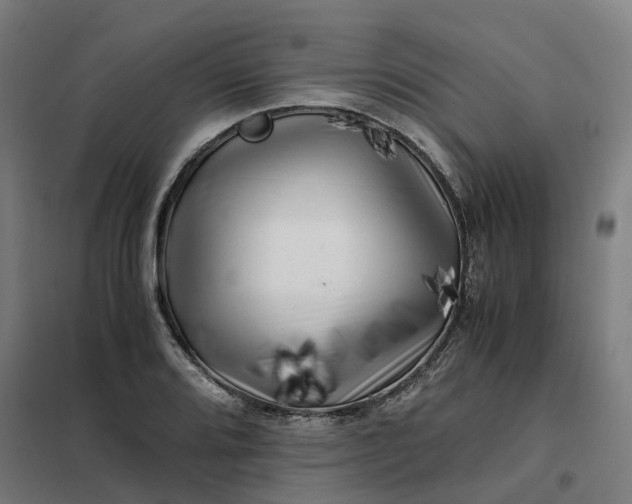 X0000101711080200807241450