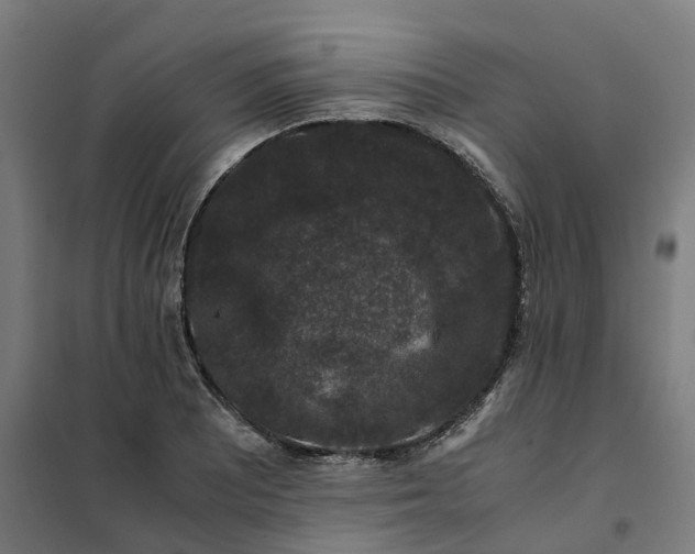 X0000101711081200807241450