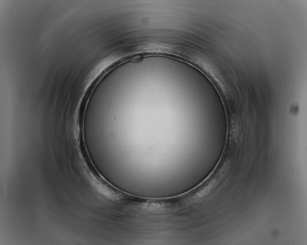 X0000101711082200807241450