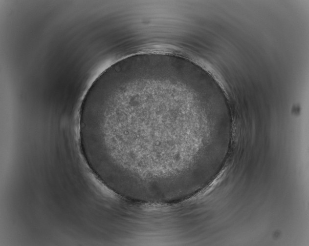 X0000101711083200807241450