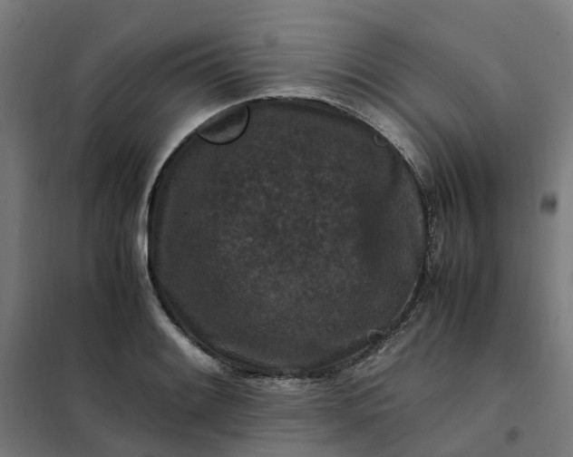 X0000101711084200807241450