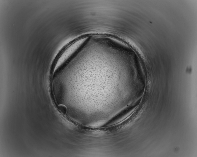 X0000101711085200807241450