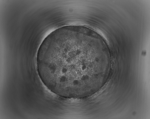 X0000101711087200807241450