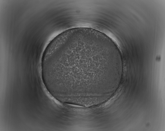 X0000101711088200807241450